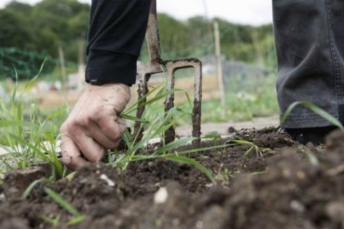 Как избавиться от травы на огороде раз и навсегда самый эффективный способ. Как навсегда избавиться от сорняков на дачном участке: народными средствами, химией и другими способами | (Фото Видео)