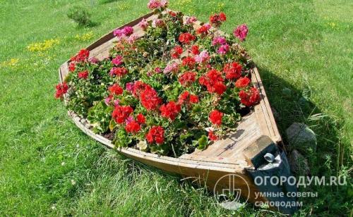 Декоративные клумбы из дерева. Разнообразие форм и применение