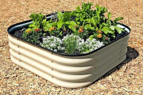 Клумба декоративная. Декоративные клумбы — 125 фото интересных сочетаний и советы для начинающих