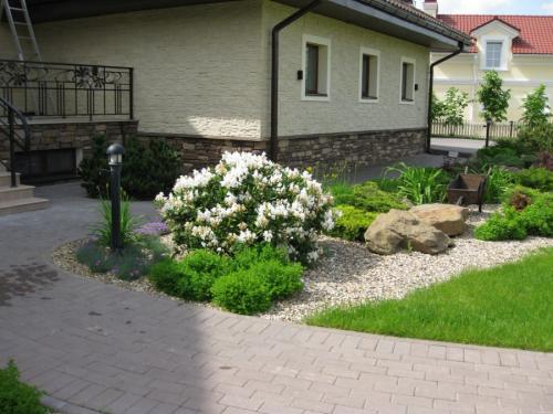 Какие деревья сажать у дома. Деревья возле дома — виды которые можно и нельзя сажать. 100 фото лучших вариантов для посадки