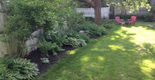 Какие деревья посадить на участке вдоль забора. Что посадить вдоль забора в тени?