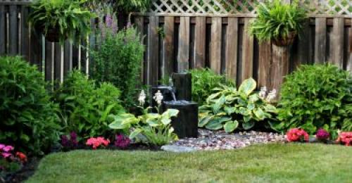 Какие деревья посадить на участке вдоль забора. Что посадить вдоль забора в тени?