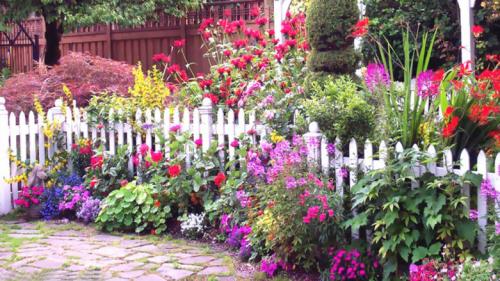 Красивый палисадник перед домом своими руками. Красивый палисадник своими руками —, как правильно создать и украсить элемент ландшафтного дизайна