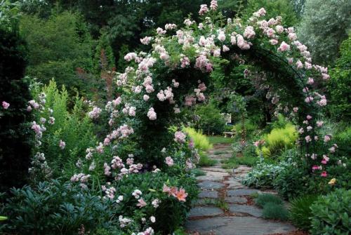 Арка для вьющихся растений своими руками. Садовая арка — советы и инструкции по постройке своими руками (120 фото-идей)