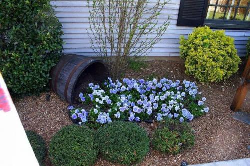 Красивый палисадник. Палисадник своими руками: из подручных средств, как оформить цветами, советы по выбору растений, примеры оформления (135 фото)