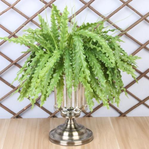 Растения для ландшафтного дизайна садового участка. Декоративные растения — стильные идеи оформления сада и участка. 105 фото и основные варианты благоустройства