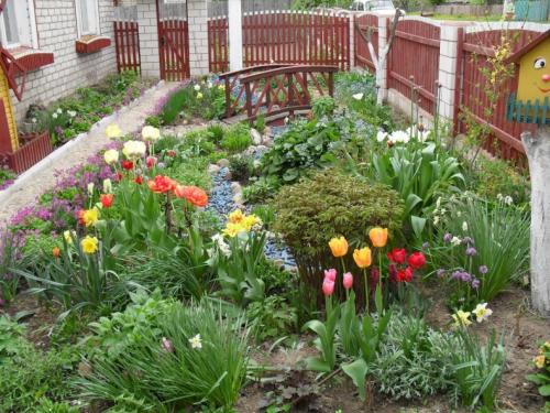 Как сделать перед домом палисадник красивый своими руками. Палисадник своими руками: 120 фото необычных идей обустройства, дизайна и планировки палисадника перед домом