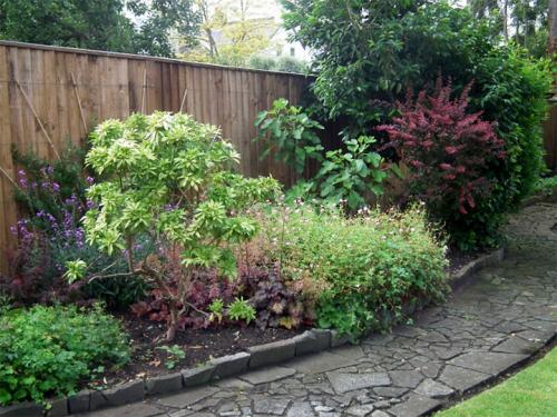 Деревья вдоль забора со стороны улицы. Какие растения лучше высаживать на участке вдоль забора