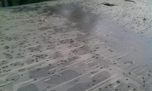 Навесы козырьки из поликарбоната. Навес из поликарбоната, примыкающий к дому: материалы, сборка и его монтаж