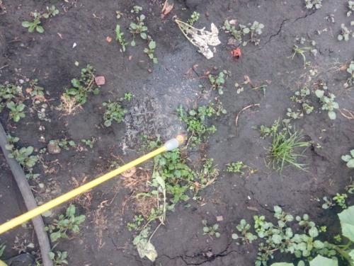 Как избавиться от травы на огороде раз и навсегда самый эффективный способ. Как избавиться от травы в огороде?