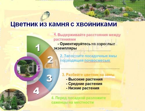 Как сделать клумбу из камней и цемента. Какие бывают клумбы из камней