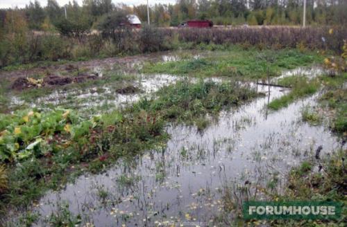 Как сделать дренаж на участке с высоким уровнем грунтовых вод. Зачем делать дренаж на глинистой почве