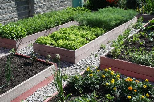 Как обустроить сад и огород красиво с минимальными затратами. Где взять недорогие материалы для обустройства участка