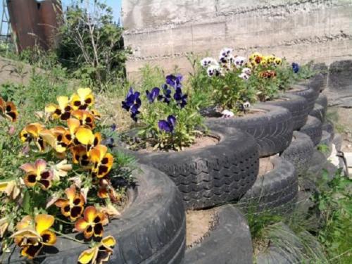 Как обустроить сад и огород красиво с минимальными затратами. Где взять недорогие материалы для обустройства участка