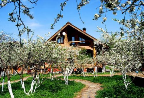 Какое дерево лучше посадить возле дома на улице. Объективные критерии выбора 10