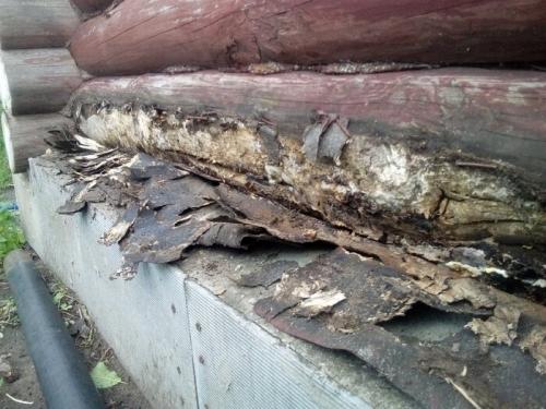 Какие проблемы могут возникать при использовании баньки в деревне. 2 глупые ошибки, из-за которых баня сгнила за 5 лет   2