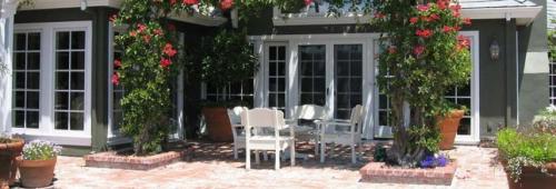 Какие виды растений и цветов обычно используются для украшения террас. Цветник в контейнерах: ландшафтные идеи для украшения террас