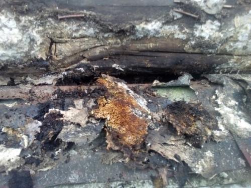 Какие проблемы могут возникать при использовании баньки в деревне. 2 глупые ошибки, из-за которых баня сгнила за 5 лет   2