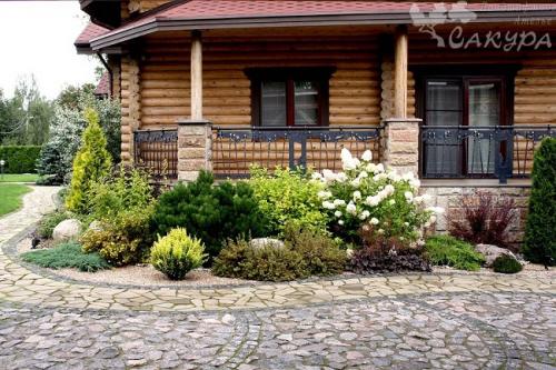 Деревья возле дома — виды которые можно и нельзя сажать. 100 фото лучших вариантов для посадки 17 Деревья возле дома — виды которые можно и нельзя сажать. 100 фото лучших вариантов для посадки 17