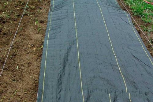 Чем полить сорняки, чтобы больше не росли. Механические способы