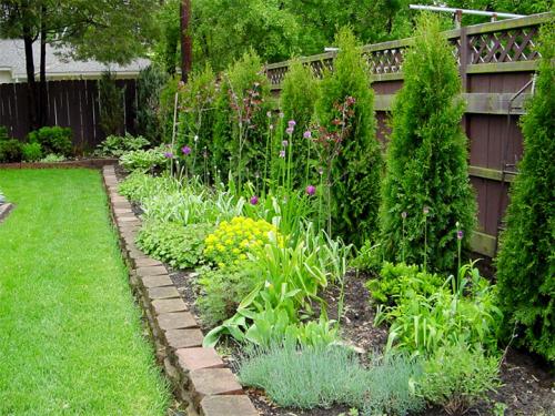 Что посадить за забором со стороны улицы. Какие растения лучше высаживать на участке вдоль забора