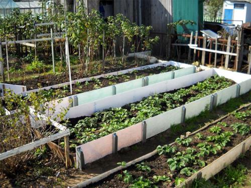 Чем огородить грядки на даче дешево. Делаем ограждения вокруг грядок из различных материалов