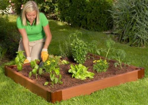 Материалы для грядок на даче. Как сделать ограждение для грядок своими руками 18