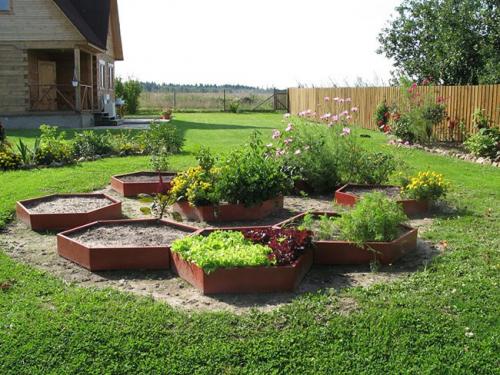 Материалы для грядок на даче. Как сделать ограждение для грядок своими руками