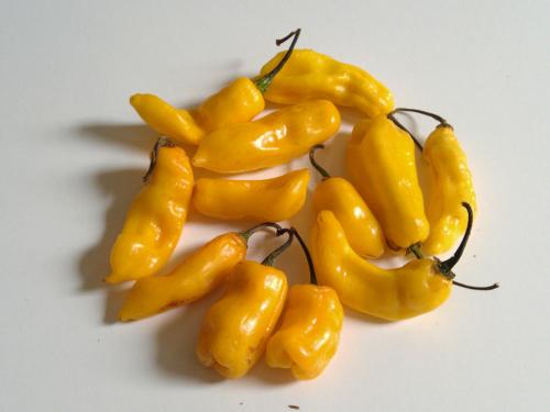 Как называется острый перец. Рейтинг самых острых перцев чили со всего света