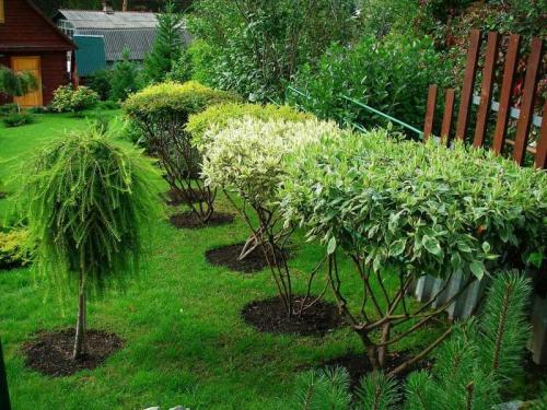 Дизайн заднего двора. Задний двор — красивые идеи эстетического обустройства заднего двора (150 фото и видео)