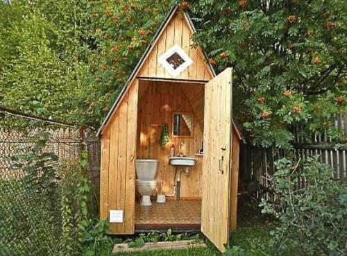 Какие деревья посадить возле выгребной ямы. Какое дерево стоит посадить возле выгребной ямы, чтобы оно ее осушало и не давало воде накапливаться 02