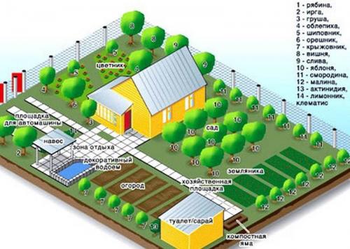 Как сажать деревья на участке. Ошибки при посадке деревьев 06 Как сажать деревья на участке. Ошибки при посадке деревьев 06