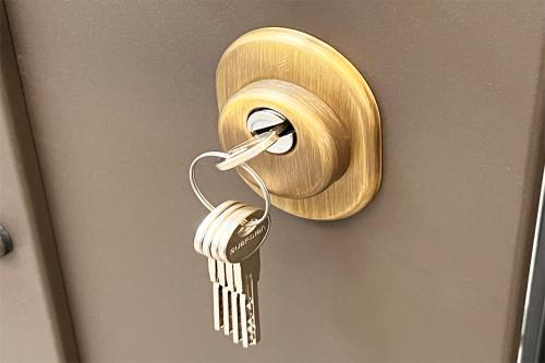 Врезной замок на калитку: все, что нужно знать о безопасности и удобстве 21