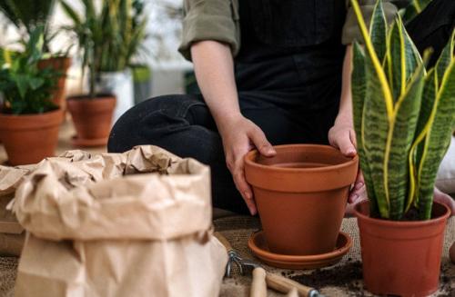 Лето: подходящее время для садоводства 02