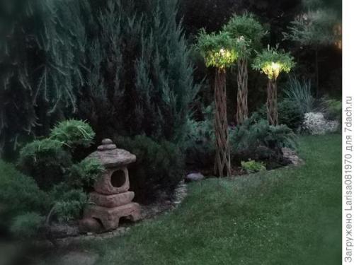 Плетёная ива из обычного куста. 'Датские корни' — плетёная ива или русская пальма