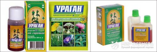 Ураган средство от сорняков инструкция. Ураган Форте от сорняков: как правильно применять