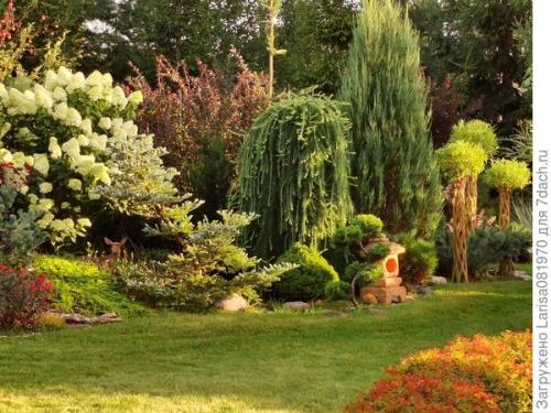 Плетёная ива из обычного куста. 'Датские корни' — плетёная ива или русская пальма