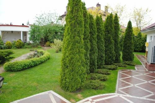 Какие деревья нельзя сажать возле дома. Какие деревья по приметам нельзя сажать рядом с домом