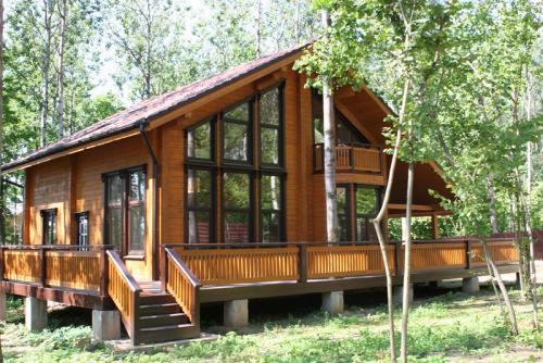 Какое дерево или кустарник лучше посадить возле дома. Какие деревья и кустарники посадить возле дома 08