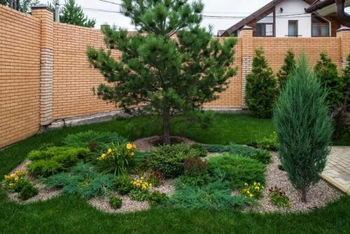 Какие деревья нельзя сажать возле дома. Какие деревья по приметам нельзя сажать рядом с домом