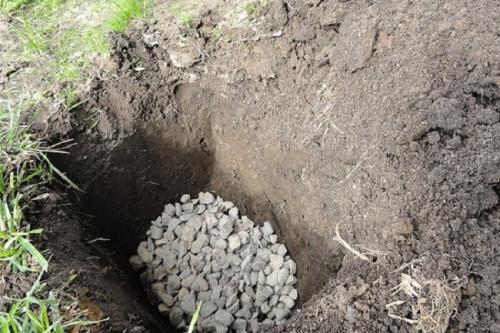 Как выбрать место для строительства палисадника. С чего начать (выбор места, состав почвы)