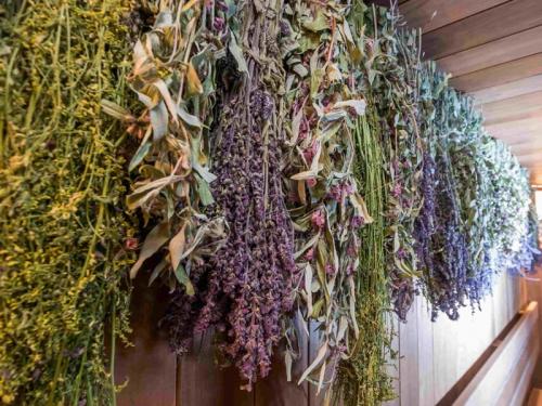 Как можно сохранить красоту и функциональность банной в долгосрочной перспективе. 	Критерии выбора защитных средств