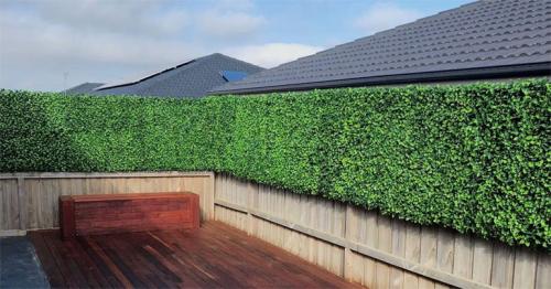 Какие деревья посадить вдоль забора от соседей. Преимущества посадки растений у заборов