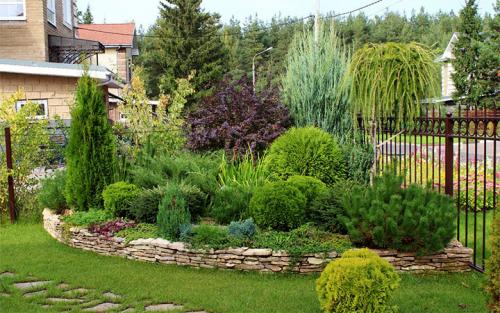 Деревья вдоль забора со стороны улицы. Какие растения лучше высаживать на участке вдоль забора