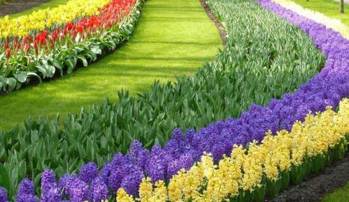 Станьте мастером клумбы: простой способ создать идеальный сад 28 Станьте мастером клумбы: простой способ создать идеальный сад 28