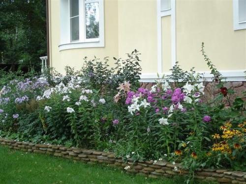 Что такое клумба. Клумбы и цветники - в чем разница