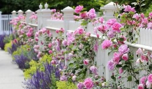 Какие материалы можно использовать для создания палисадника на даче. Забор для палисадника: используемые материалы и интересные конструкции