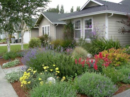 Что посадить в палисаднике перед домом из деревьев и кустарников. Красивые палисадники: ТОП-140 фото лучших вариантов палисадников. Разновидности конструкций, выбор растений, оформление своими руками