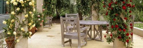 Какие растения можно использовать для украшения террасы. Цветник в контейнерах: ландшафтные идеи для украшения террас