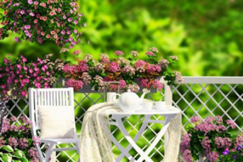 Какие растения можно использовать для украшения террасы. Цветник в контейнерах: ландшафтные идеи для украшения террас